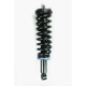 Purchase Top-Quality Front Complete Strut Assembly by WORLDPARTS STRUTS - W1345564L pa1