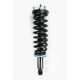 Purchase Top-Quality Front Complete Strut Assembly by WORLDPARTS STRUTS - W1345564R pa1