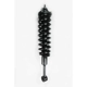 Purchase Top-Quality Front Complete Strut Assembly by WORLDPARTS STRUTS - W1345566L pa1