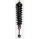 Purchase Top-Quality Front Complete Strut Assembly by WORLDPARTS STRUTS - W1345566R pa1