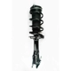 Purchase Top-Quality Front Complete Strut Assembly by WORLDPARTS STRUTS - W2331629L pa1