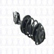 Purchase Top-Quality Front Complete Strut Assembly by WORLDPARTS STRUTS - W2333748R pa9