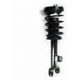Purchase Top-Quality Front Complete Strut Assembly by WORLDPARTS STRUTS - W2345799 pa1