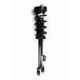 Purchase Top-Quality Front Complete Strut Assembly by WORLDPARTS STRUTS - W2345799 pa2