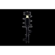 Purchase Top-Quality Front Complete Strut Assembly by WORLDPARTS STRUTS - W4333564L pa2