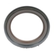 Purchase Top-Quality CORTECO - 82036597 - Crankshaft Seal pa3