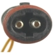 Purchase Top-Quality BLUE STREAK (HYGRADE MOTOR) - PWS176 - Front Disc Pad Sensor Wire pa6