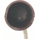 Purchase Top-Quality Front Disc Pad Sensor Wire by BLUE STREAK (HYGRADE MOTOR) - PWS118 pa1