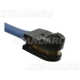 Purchase Top-Quality Front Disc Pad Sensor Wire by BLUE STREAK (HYGRADE MOTOR) - PWS273 pa6