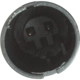 Purchase Top-Quality Front Disc Pad Sensor Wire by CENTRIC PARTS - 116.34012 pa7