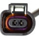 Purchase Top-Quality HOLSTEIN - 2BWS0348 - Disc Brake Pad Wear Sensor pa4