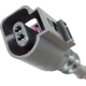Purchase Top-Quality HOLSTEIN - 2BWS0432 - Disc Brake Pad Wear Sensor pa3
