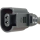 Purchase Top-Quality HOLSTEIN - 2BWS0432 - Disc Brake Pad Wear Sensor pa4
