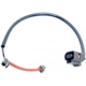 Purchase Top-Quality Front Disc Pad Sensor Wire by RAYBESTOS - EWS13 pa5