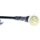 Purchase Top-Quality VEMO - V20-72-0531 - Disc Brake Pad Wear Sensor pa2