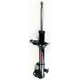 Purchase Top-Quality Front Gas Charged Strut by FCS AUTOMOTIVE - 331773 pa1