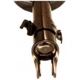 Purchase Top-Quality Front Gas Charged Strut by KYB - 339384 pa6