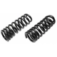 Purchase Top-Quality Front Heavy Duty Variable Rate Springs by MOOG - CC866 pa7