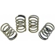 Purchase Top-Quality Front Hold Down Spring (Pack of 12) by RAYBESTOS - H1150 pa1