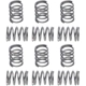 Purchase Top-Quality Front Hold Down Spring (Pack of 12) by RAYBESTOS - H1157 pa2