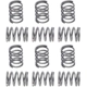 Purchase Top-Quality Front Hold Down Spring (Pack of 12) by RAYBESTOS - H1157 pa3
