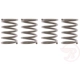 Purchase Top-Quality Front Hold Down Spring (Pack of 12) by RAYBESTOS - H1157 pa4