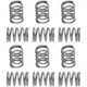 Purchase Top-Quality Front Hold Down Spring (Pack of 12) by RAYBESTOS - H1157 pa6