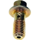 Purchase Top-Quality DORMAN - 484-205.1 - Banjo Bolt pa2