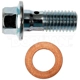 Purchase Top-Quality Front Hose To Caliper Bolt by DORMAN/AUTOGRADE - 484-201.1 pa5