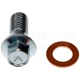 Purchase Top-Quality Front Hose To Caliper Bolt by DORMAN/AUTOGRADE - 484-201.1 pa6