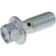 Purchase Top-Quality Front Hose To Caliper Bolt by DORMAN/HELP - 13937 pa7
