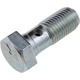 Purchase Top-Quality Front Hose To Caliper Bolt by DORMAN/HELP - 13938 pa6