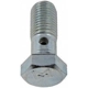 Purchase Top-Quality Front Hose To Caliper Bolt by DORMAN/HELP - 13938 pa7