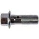 Purchase Top-Quality Front Hose To Caliper Bolt by DORMAN/HELP - 14100 pa3
