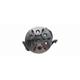 Purchase Top-Quality GSP NORTH AMERICA - 106008 - Wheel Bearing and Hub Assembly - Front Left pa7