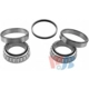 Purchase Top-Quality Front Inner Bearing Set by WJB - WTA23 pa2