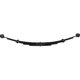 Purchase Top-Quality Front Leaf Springs by DORMAN (OE SOLUTIONS) - 221009 pa3
