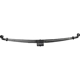 Purchase Top-Quality Front Leaf Springs by DORMAN (OE SOLUTIONS) - 221175 pa1