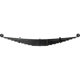 Purchase Top-Quality Front Leaf Springs by DORMAN (OE SOLUTIONS) - 221209HD pa1