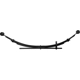 Purchase Top-Quality Front Leaf Springs by DORMAN (OE SOLUTIONS) - 221419HD pa1
