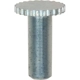 Purchase Top-Quality Front Left Adjusting Screw by RAYBESTOS - H1842 pa1