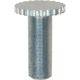 Purchase Top-Quality Front Left Adjusting Screw by RAYBESTOS - H1842 pa2