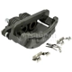 Purchase Top-Quality NUGEON - 99P17881B - Front Driver Side Brake Caliper pa5