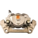 Purchase Top-Quality PROMECANIX - 10-01141-1 - Disc Brake Caliper pa3