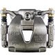 Purchase Top-Quality PROMECANIX - 10-01173-1 - Disc Brake Caliper pa4