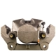 Purchase Top-Quality PROMECANIX - 10-01209-1 - Disc Brake Caliper pa2