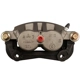 Purchase Top-Quality Front Left Rebuilt Caliper With Hardware by PROMECANIX - 10-04553-1 pa2