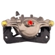 Purchase Top-Quality PROMECANIX - 10-06409-1 - Disc Brake Caliper pa3