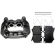 Purchase Top-Quality Front Left Rebuilt Caliper With Pad by RAYBESTOS - RC11039 pa1