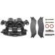 Purchase Top-Quality Front Left Rebuilt Caliper With Pad by RAYBESTOS - RC11310 pa6